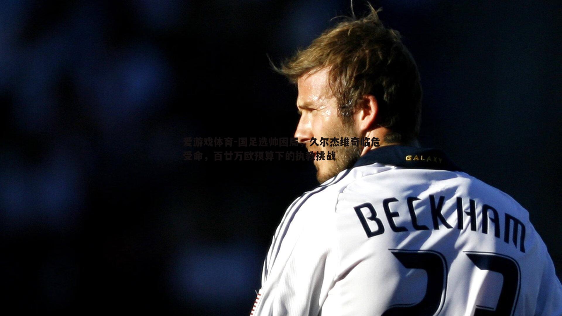 国足选帅困局,久尔杰维奇临危受命,百廿万欧预算下的执教挑战